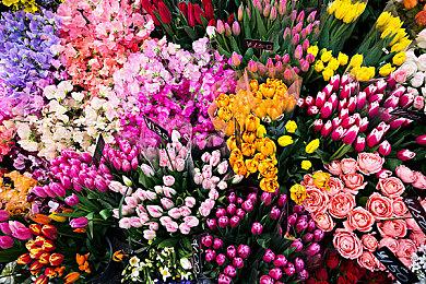 治愈可爱风格探索冒险游戏《佩蒂特的小岛》故事预告放出 2024年年内推出